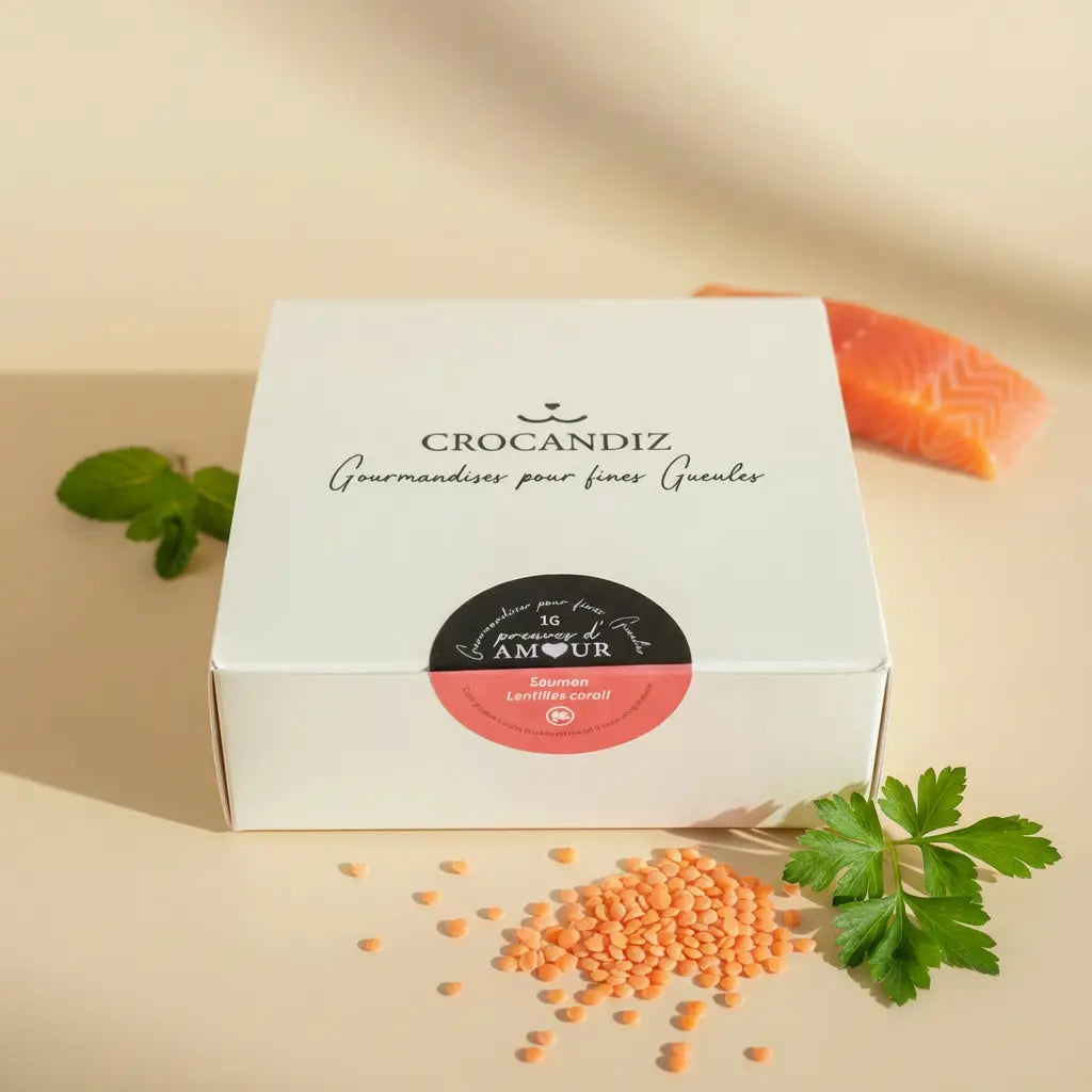 Biscuits Chien Saumon Bio Sans Céréales | CasualPets