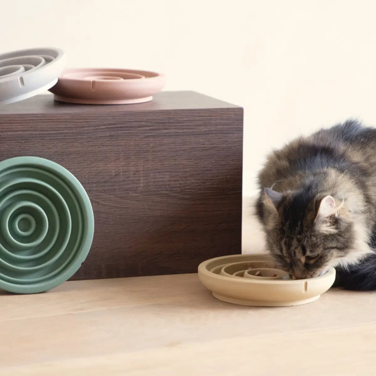 Gamelle anti-glouton chat coloris multiples en situation - Slow feeding améliore digestion - CasualPets