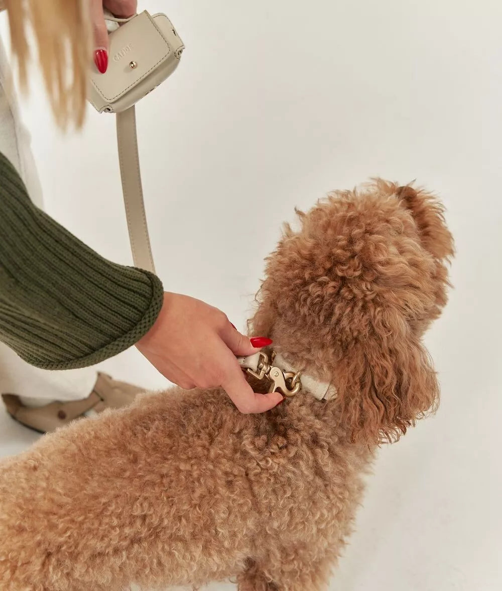 Laisse Chien Cuir Végan Jala 1,4m - Lignify Fait Main Europe
