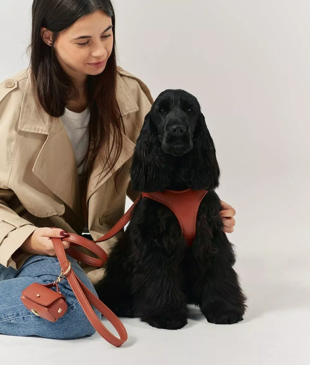 Laisse Chien Cuir Végan Jala 1,4m - Lignify Fait Main Europe