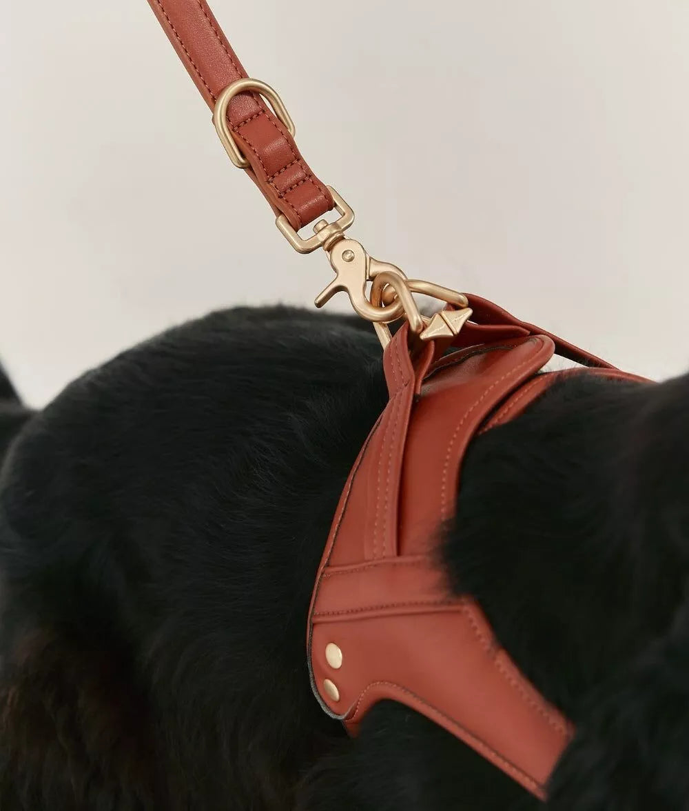 Laisse Chien Cuir Végan Jala 1,4m - Lignify Fait Main Europe