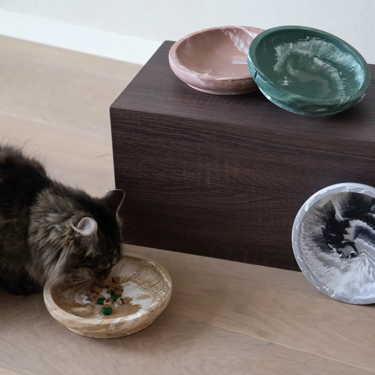 Gamelle Chat Ergonomique - Bol pour Chat Anti-Stress