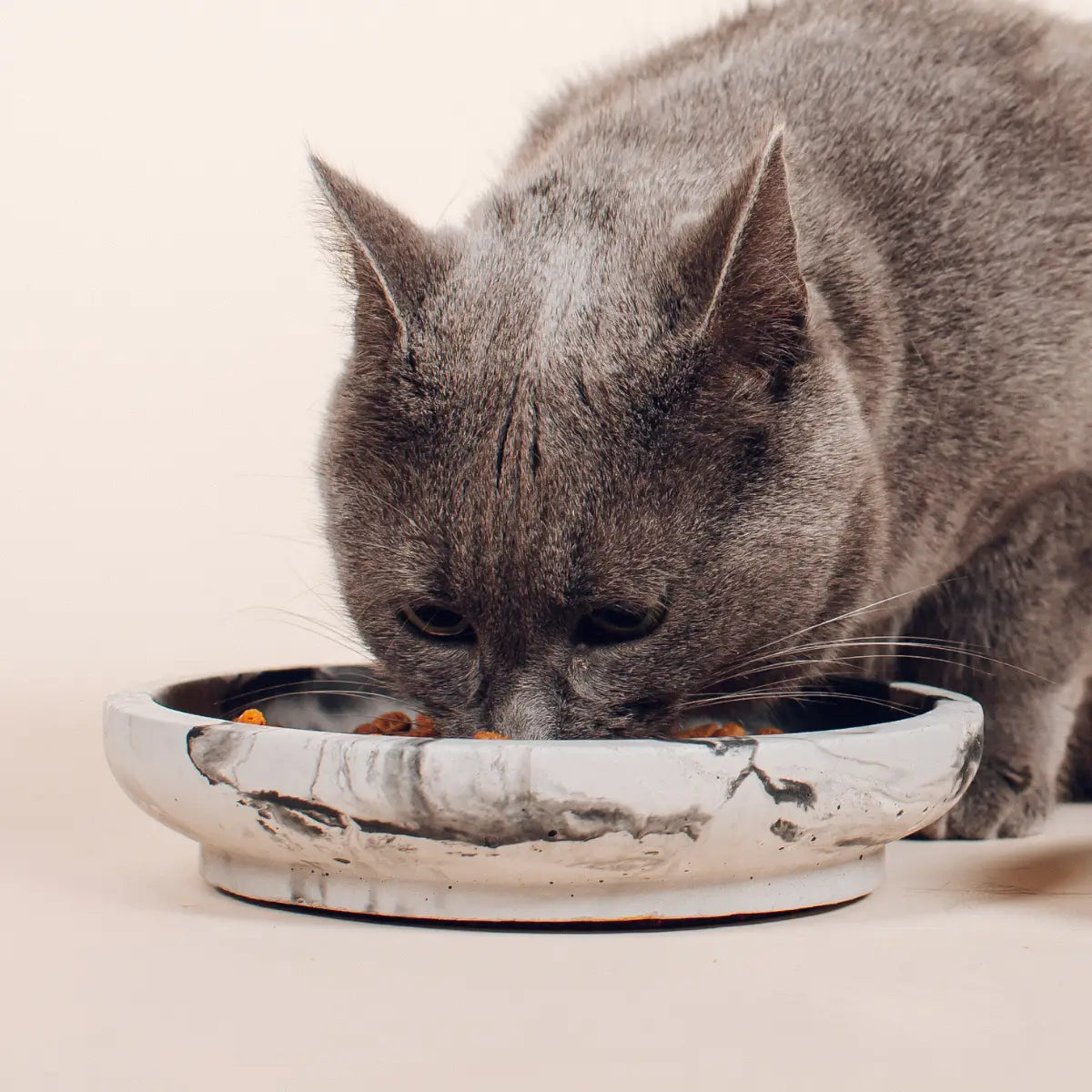 Gamelle Chat Ergonomique - Bol pour Chat Anti-Stress