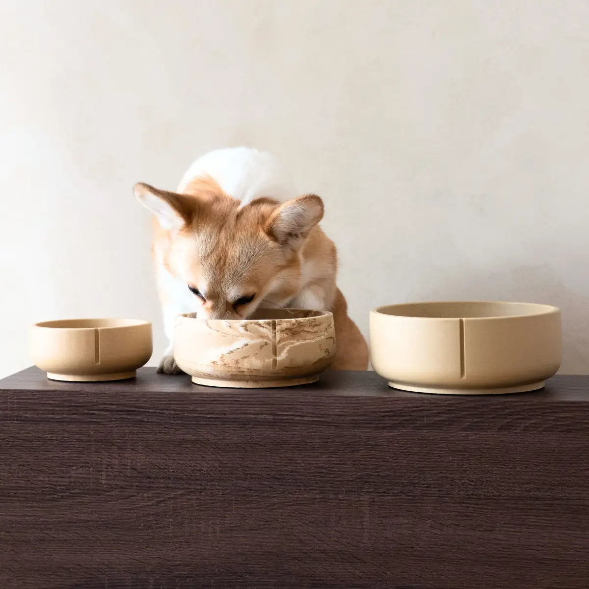 Gamelle Eau Chien Chat Graduée - Bol Hydratation Mesureur