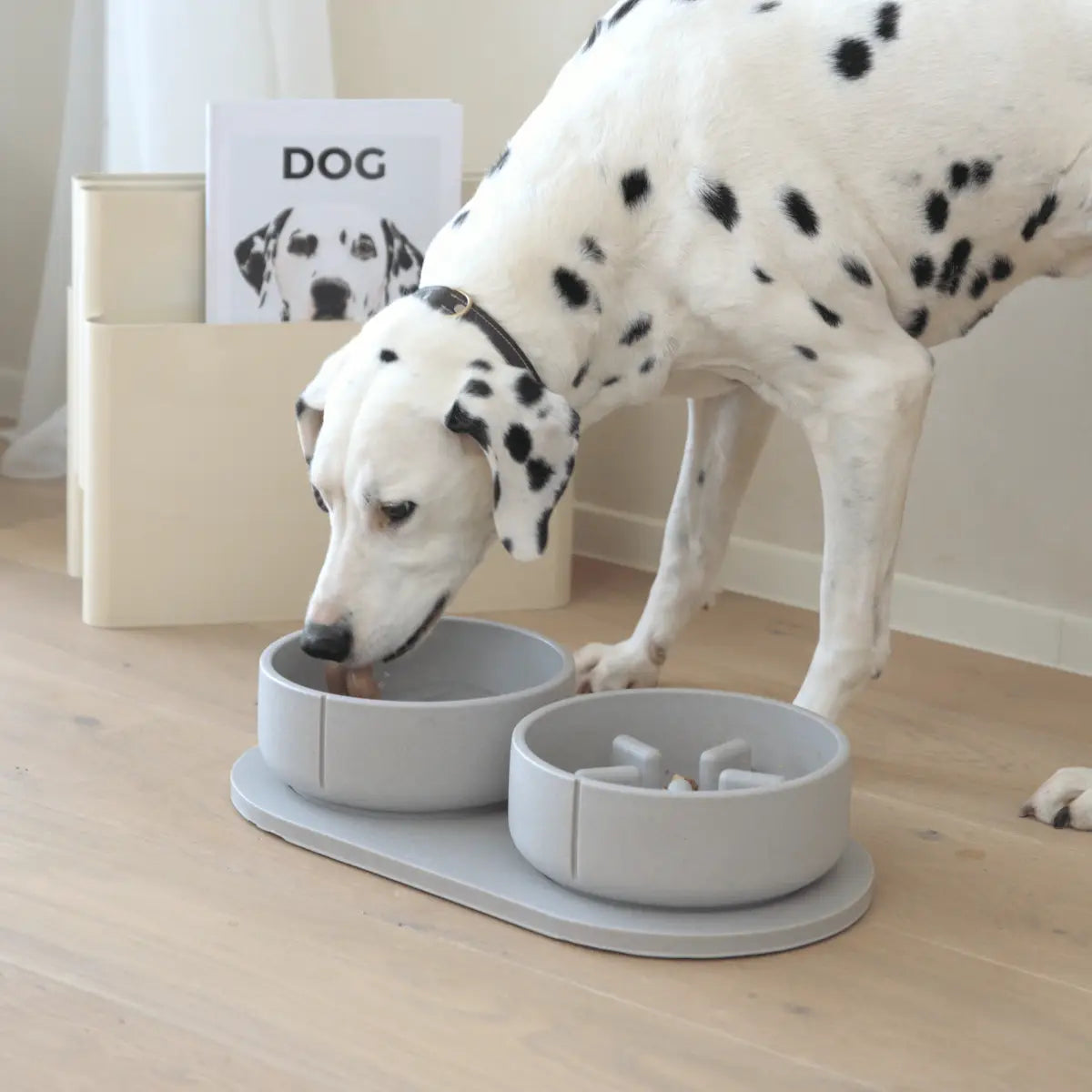 Gamelle Anti-Glouton Chien - Bol Ralentisseur Premium