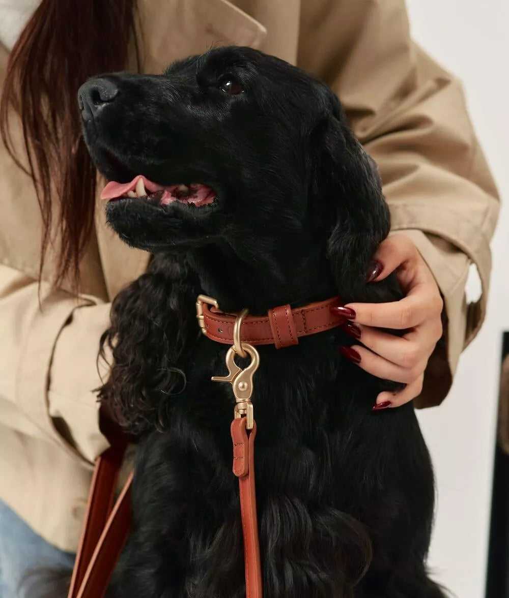 Collier Chien Cuir Végan Jala - Lignify Fait Main Europe