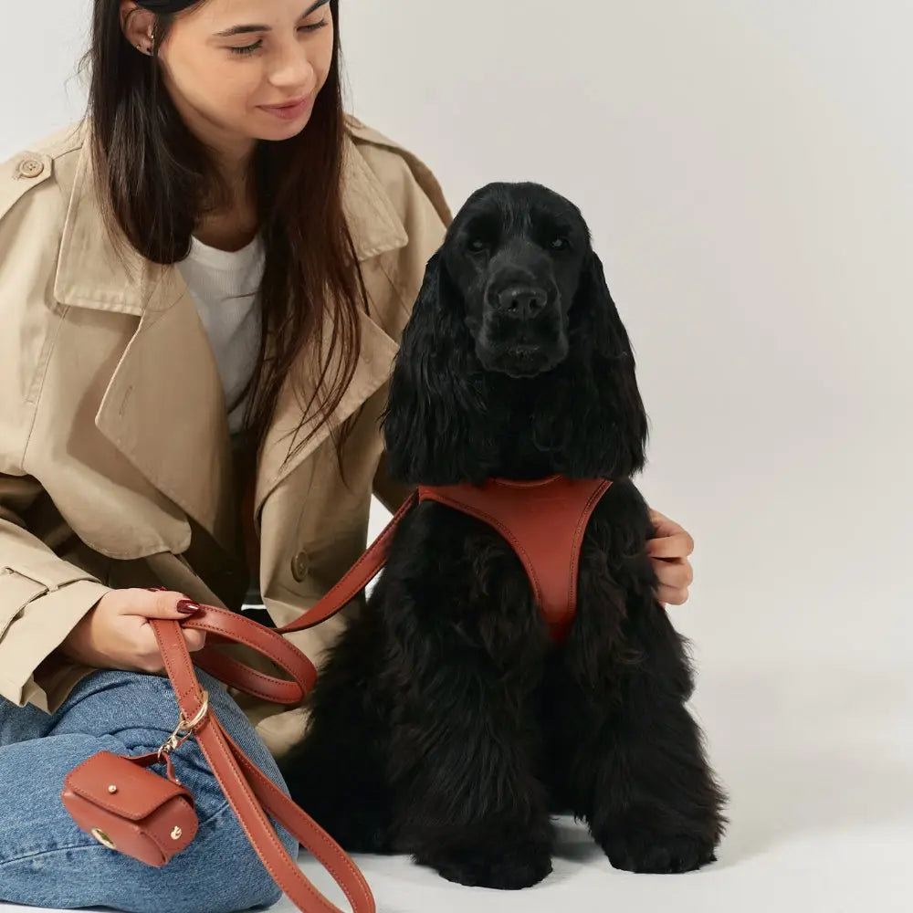 Arnés vegano para perros - Arnés acolchado de cuero vegetal