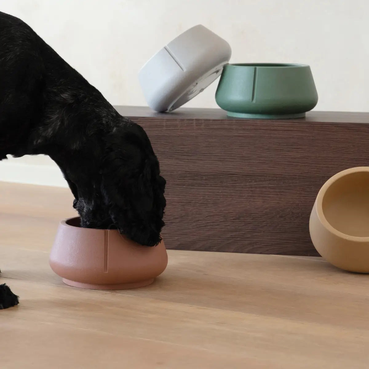 Comedero para perros con orejas largas - Comedero de diseño antiotitis