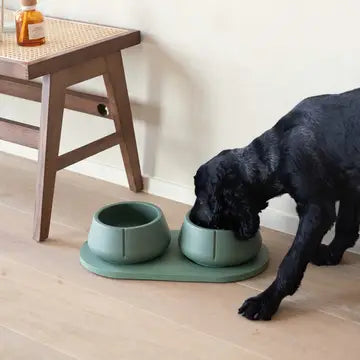 Comedero para perros con orejas largas - Comedero de diseño antiotitis