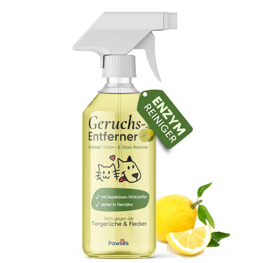 Éliminateur Odeur Urine Chat Chien - Nettoyant Enzymatique