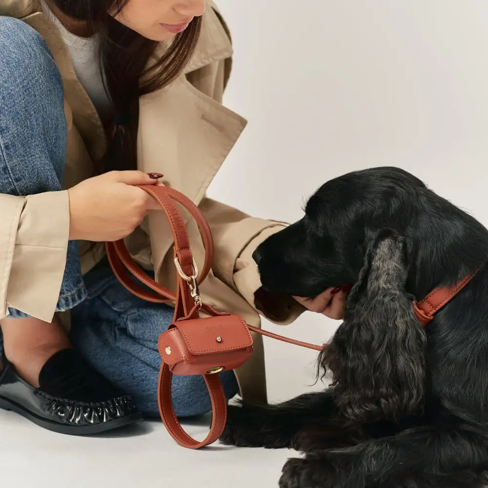 Dispensador de bolsas ecológicas para excrementos de perro