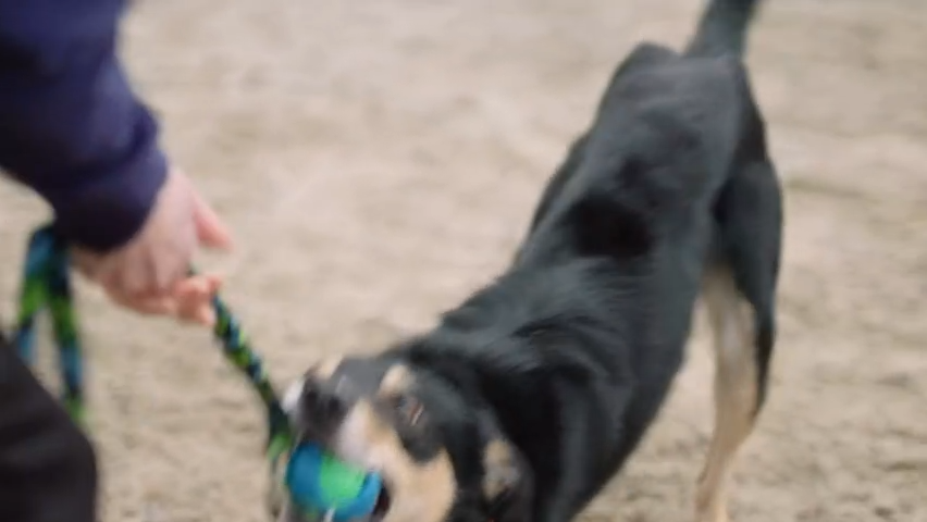 Jouet Chien Résistant - Balle Interactive PowerBall Indestructible
