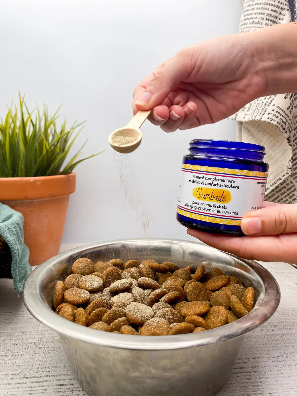 Compléments Alimentaires Chien Chat : Le Guide Complet 2025 pour Booster Naturellement la Santé de Votre Compagnon