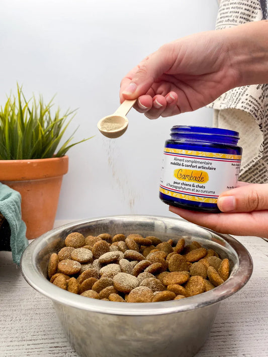 Compléments Alimentaires Chien Chat : Le Guide Complet 2025 pour Booster Naturellement la Santé de Votre Compagnon