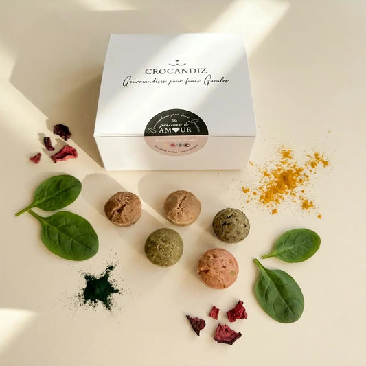 Coffret Découverte 4 Saveurs Biscuits Chien Bio | CasualPets