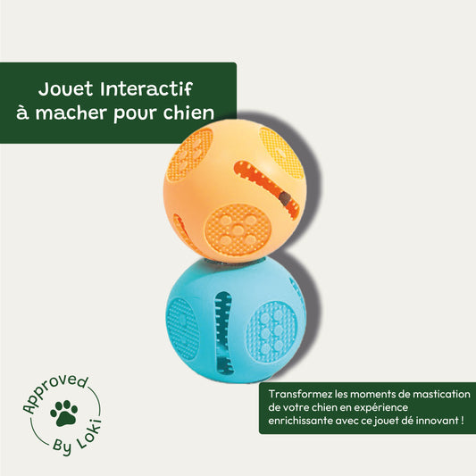 Jouet Interactif Silicone à Macher pour Chien - Distributeur de Croquettes