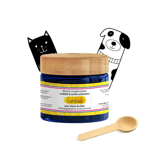 Complément alimentaire Gambade mobilité et confort articulaire chien chat - Harpagophytum et curcuma naturel - CasualPets