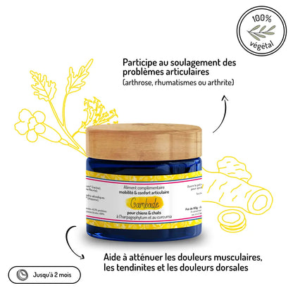 Complément Gambade 100% végétal - Soulage arthrose, rhumatismes, douleurs musculaires et tendinites naturellement - CasualPets