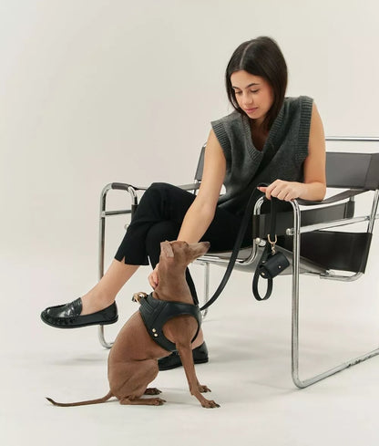 Laisse Chien Cuir Végan Jala 1,4m - Lignify Fait Main Europe