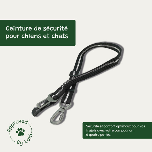 Ceinture de sécurité pour chiens et chats