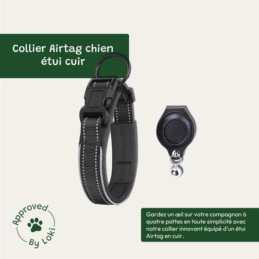 Collier Airtag Chien Etui Cuir