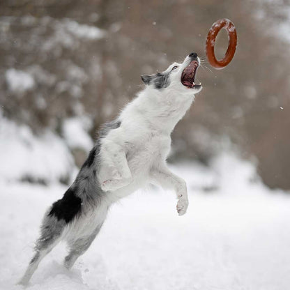 Frisbee para perros - Juguete flotante natural para perros