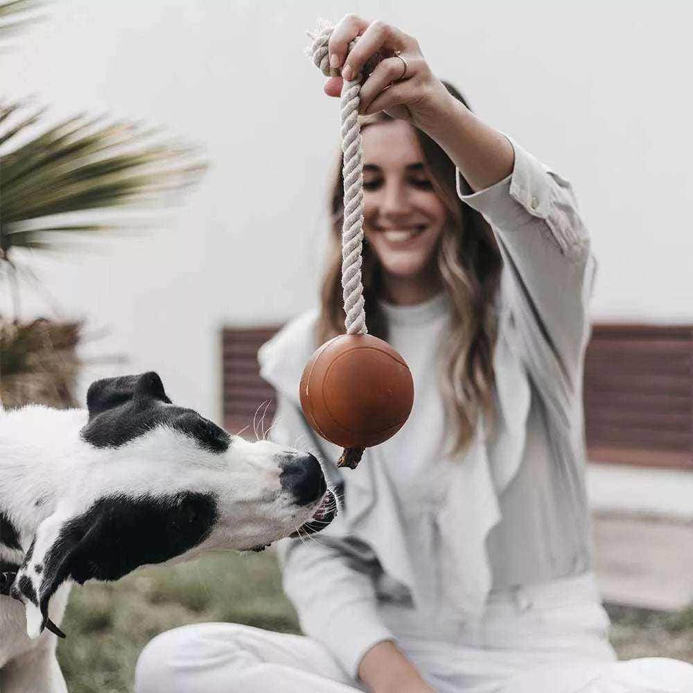 Jouet pour Chien Bio - Balle de Récupération Artisanale