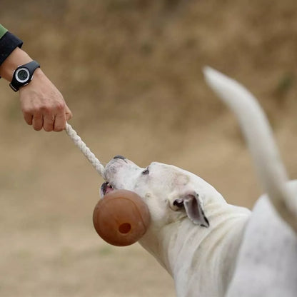 Jouet pour Chien Bio - Balle de Récupération Artisanale