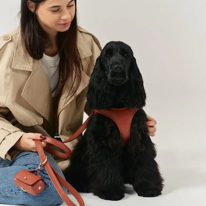 Arnés vegano para perros - Arnés acolchado de cuero vegetal