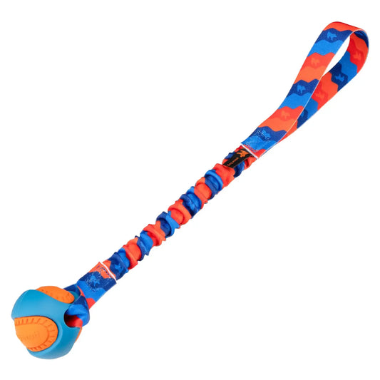 Juguete duradero para perros: pelota interactiva indestructible PowerBall