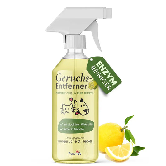 Éliminateur Odeur Urine Chat Chien - Nettoyant Enzymatique