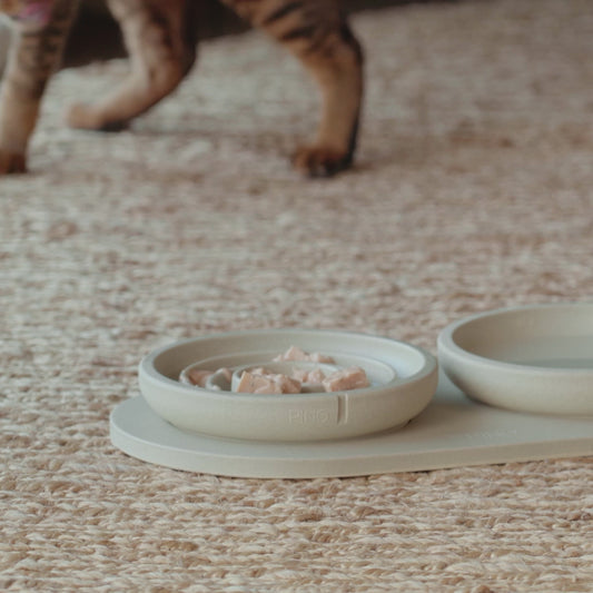 Comedero antiglotón para gatos - Comedero educativo para gatos lentos