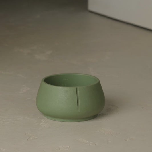 Comedero para perros con orejas largas - Comedero de diseño antiotitis