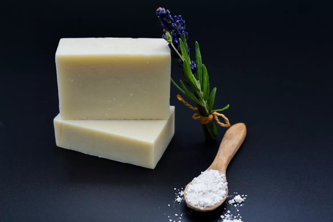Shampooing Antiparasitaire Chien Bio Poils Courts et Ras - Huile de Neem & Huiles Essentielles