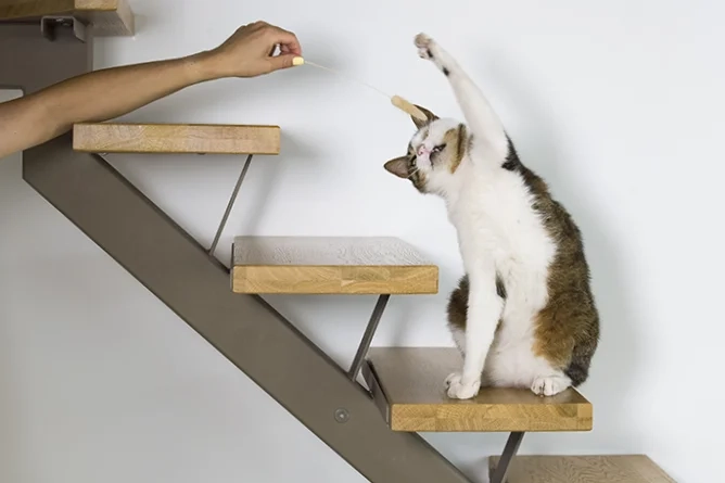 Compléments alimentaires pour la mobilité de votre animal