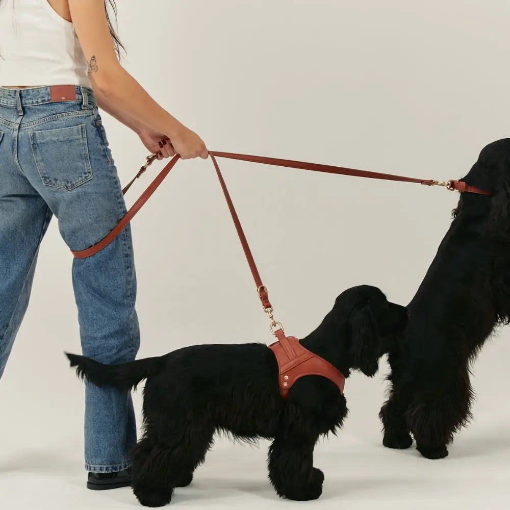 Laisse bandouliere ou double 2 chiens harnais cuir végan marron cognac - Accessoire promenade multi-chiens élégant - CasualPets