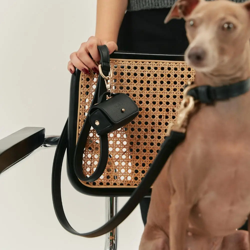 Laisse chien cuir végan noir avec porte sac à déjections amovible - Accessoire élégant et pratique - CasualPets