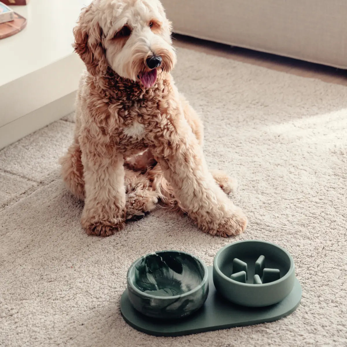 Set double gamelles chien vert avec gamelle anti glouton sur plateau antidérapant - Alimentation saine et hydratation - CasualPets