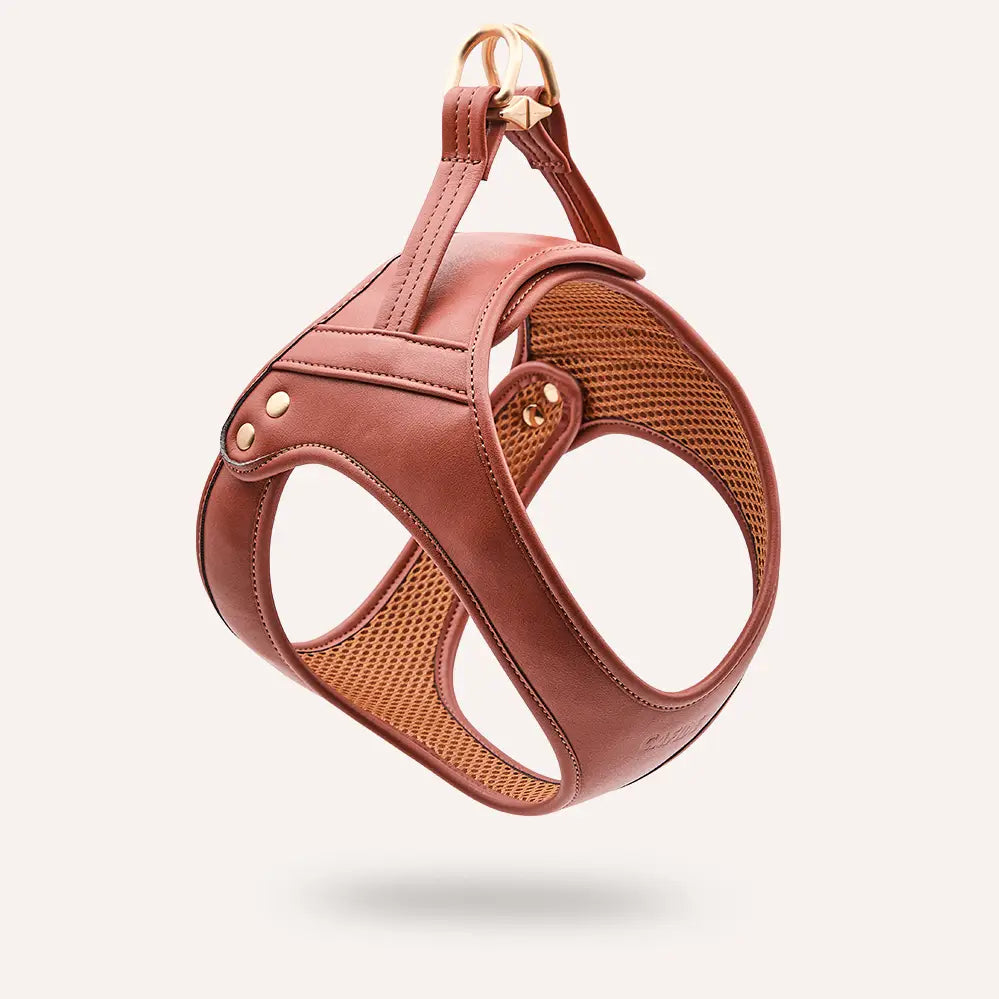 Harnais cuir végan marron/cognac mesh respirant poignée contrôle - Accessoire chien confortable premium - CasualPets