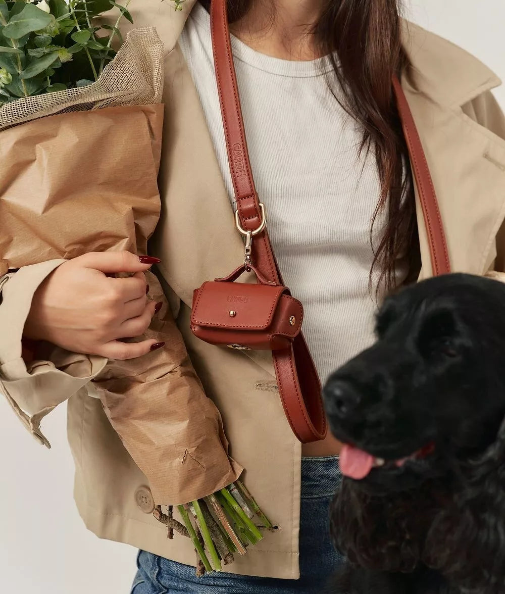 Laisse chien marron avec distributeur sachets bandoulière - Accessoire promenade mains libres pratique