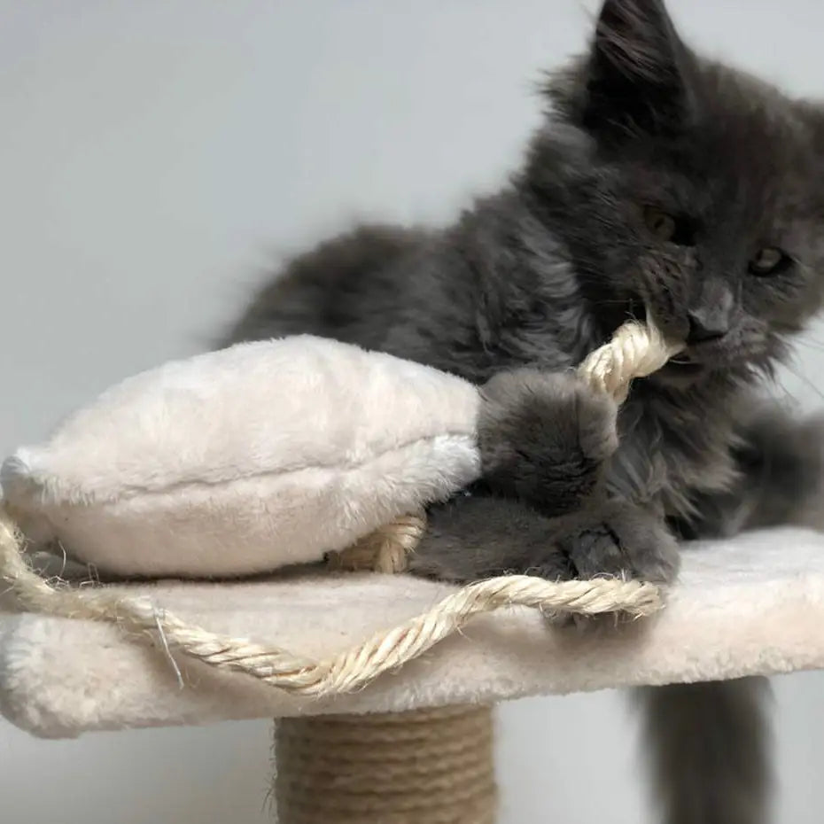 Souris valériane naturelle chat en action - Jouet peluche apaisant écologique - CasualPets