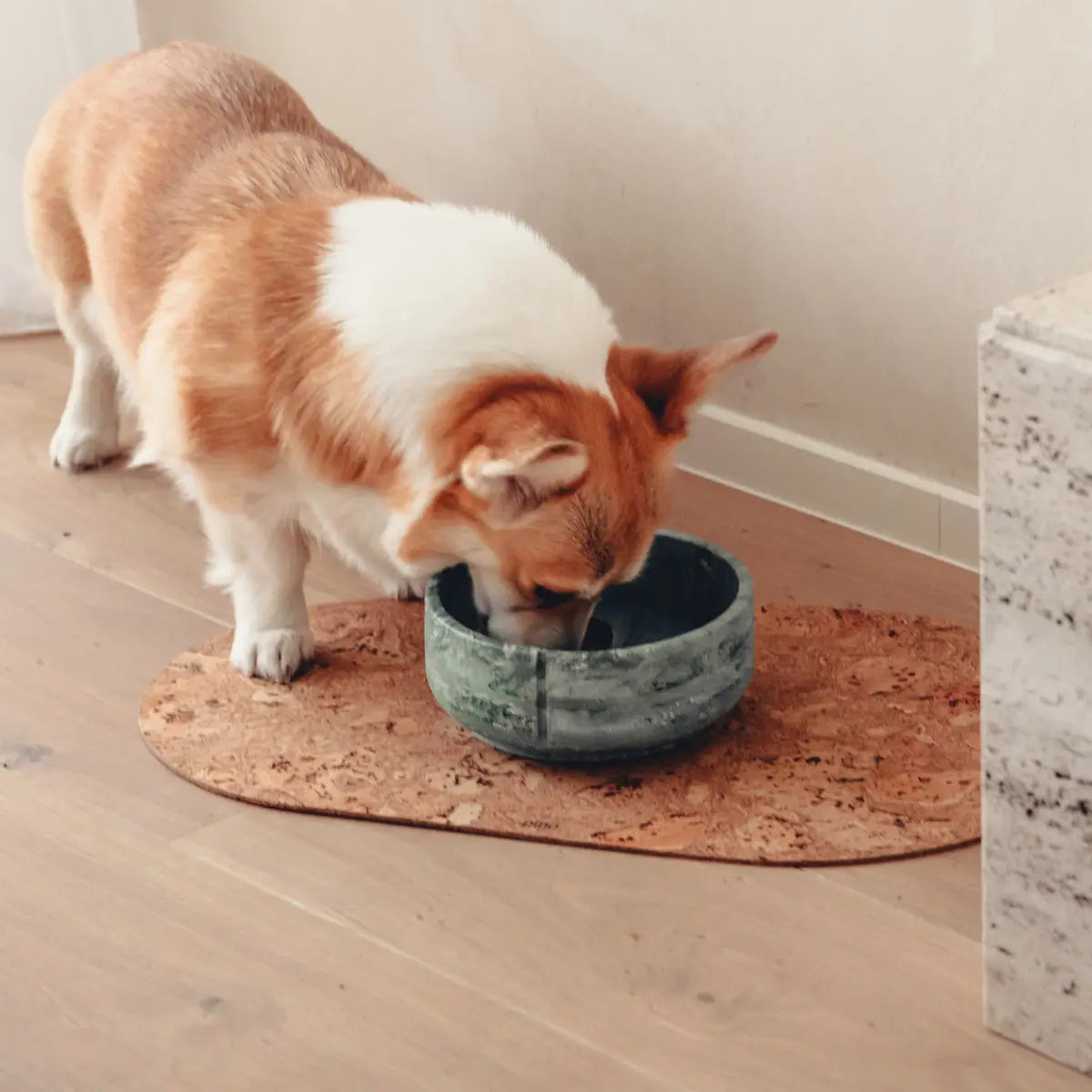 Tapis antidérapant pour gamelles chat en liège naturel - Support écologique protège le sol - CasualPets
