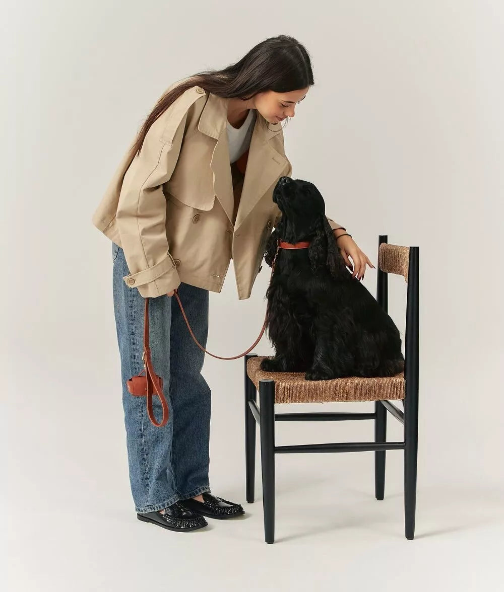 Laisse et collier chien cuir végan marron cognac avec porte sac à déjections - Accessoires premium - CasualPets