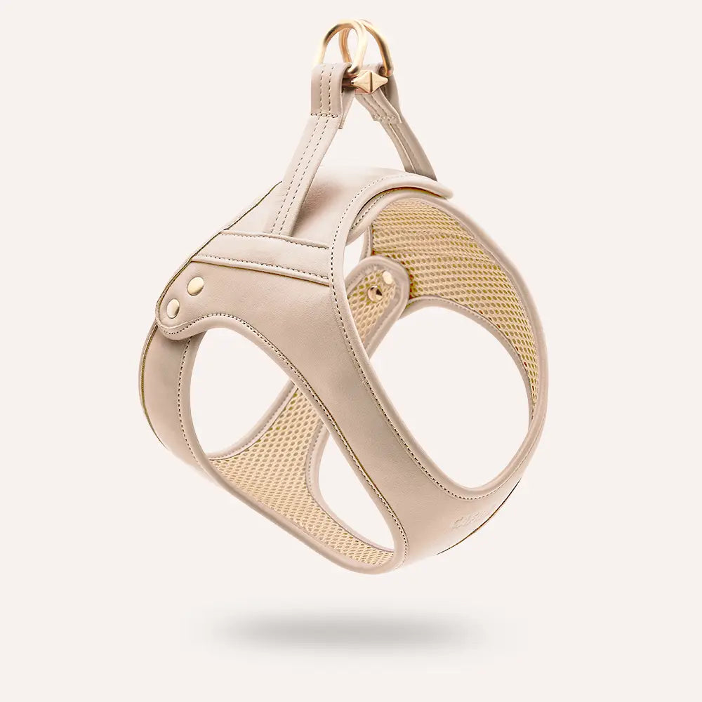 Harnais cuir végan beige mesh respirant poignée contrôle - Accessoire chien confortable premium - CasualPets