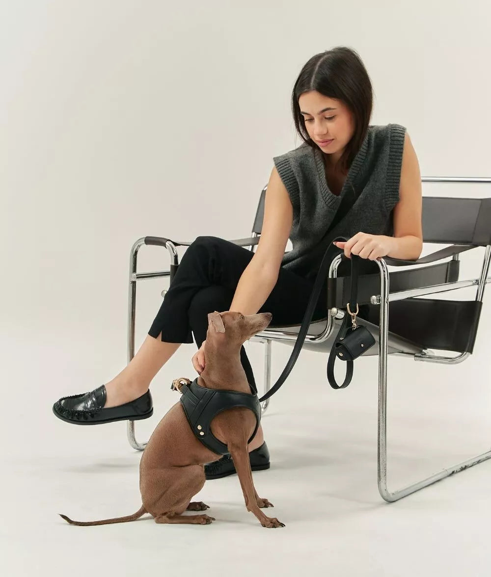 Kit promenade chien premium : harnais ergonomique noir et laisse mains libres 3 en 1 convertible en sac bandoulière