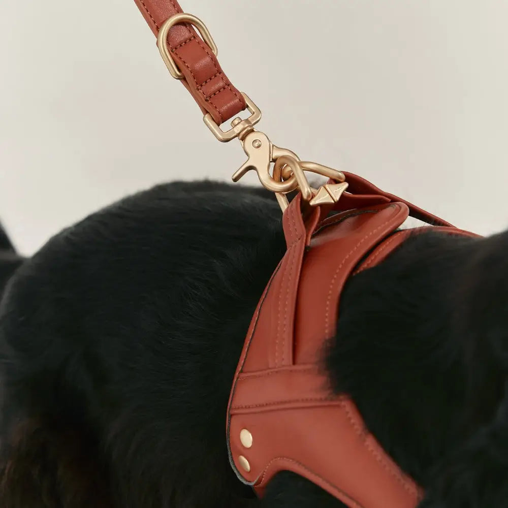 Détail harnais chien cuir végan marron cognac avec mousqueton doré - Finitions premium - CasualPets