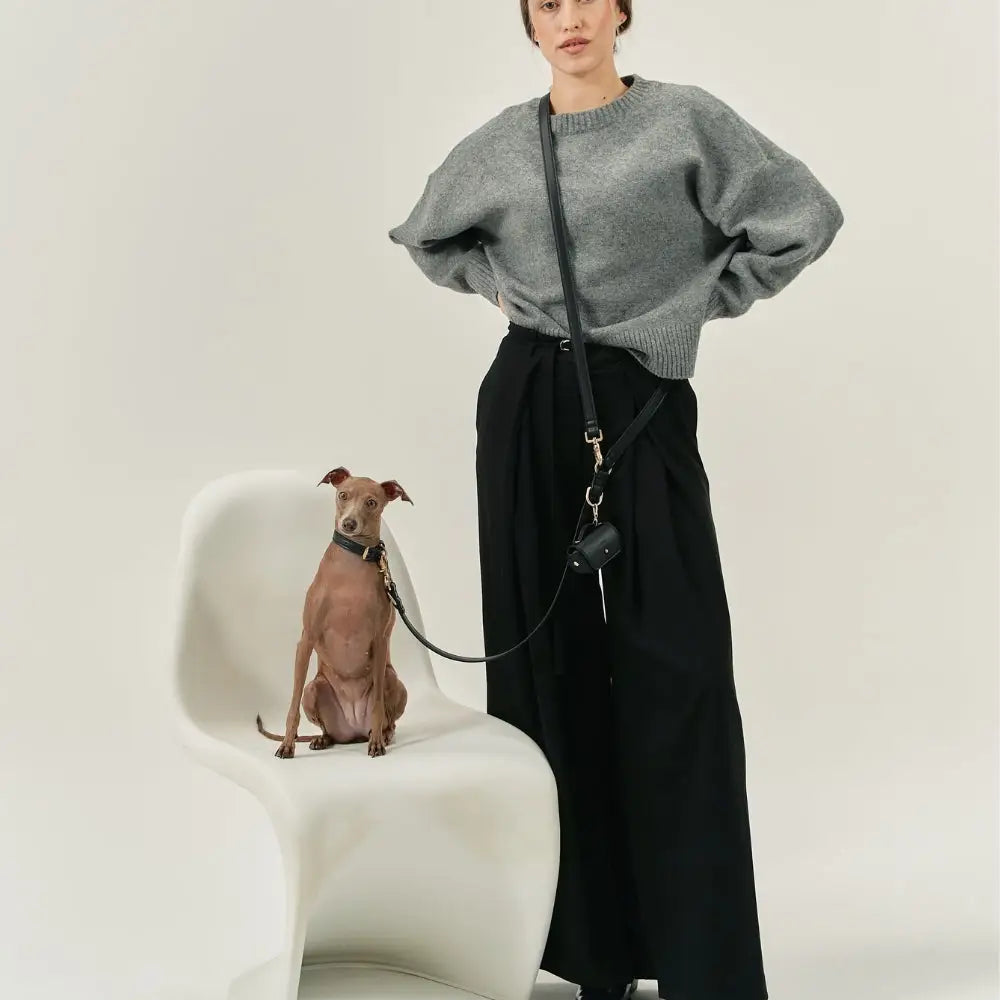 Ensemble laisse mains libres collier porte sac cuir végan noir - Kit accessoires chien lifestyle premium - CasualPets