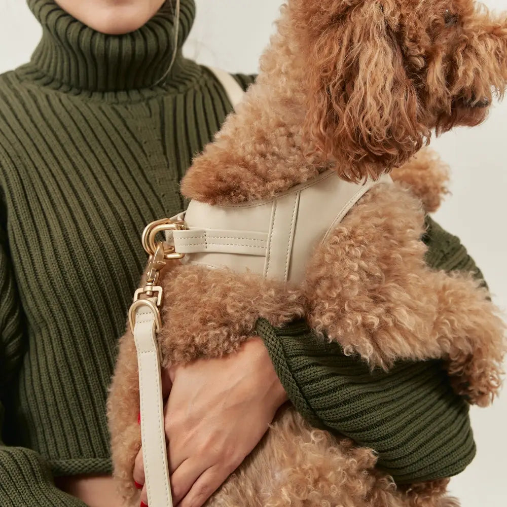Harnais cuir végan beige petites races - Accessoire chien confortable élégant - CasualPets