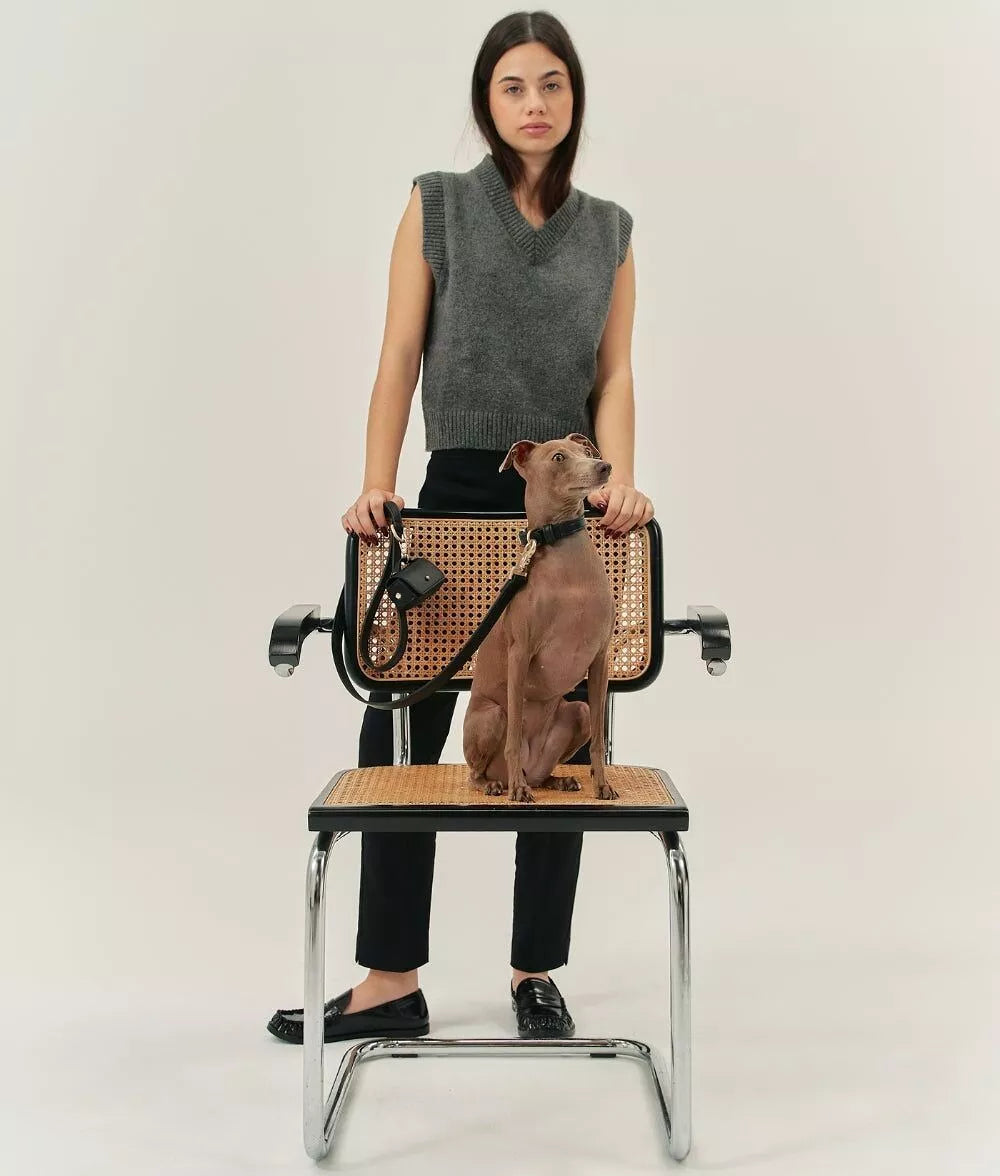 Ensemble laisse, collier et porte sac à déjections cuir végan noir - Kit accessoires chien premium 3 en 1 - CasualPets