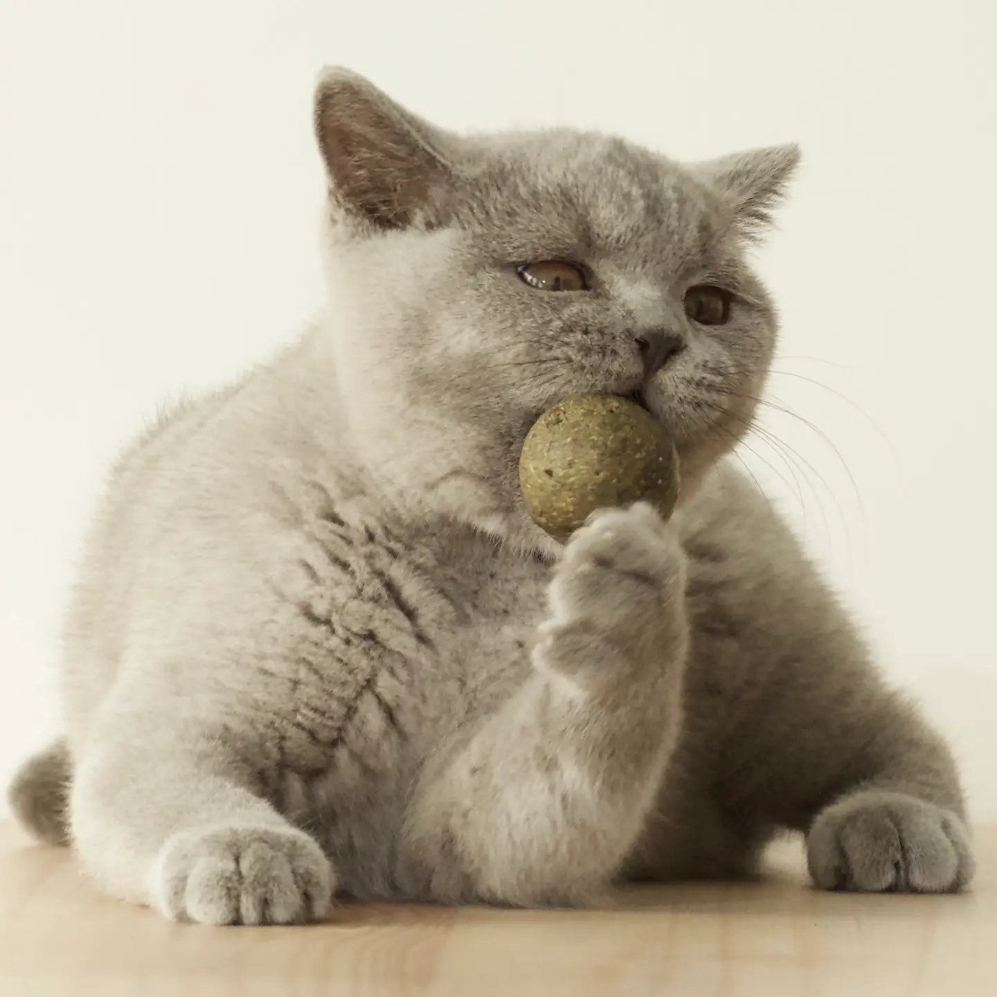 Balle herbe à chat naturelle - Chat jouant avec jouet stimulant bio - CasualPets